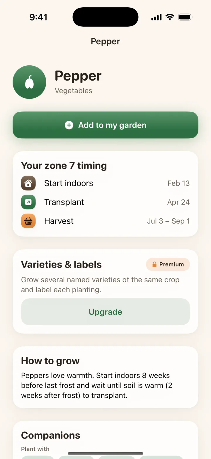 The Dibble app showing pepper planting dates for Zone 7: start seeds indoors February 13, transplant April 24, and harvest from July 3 to September 1.