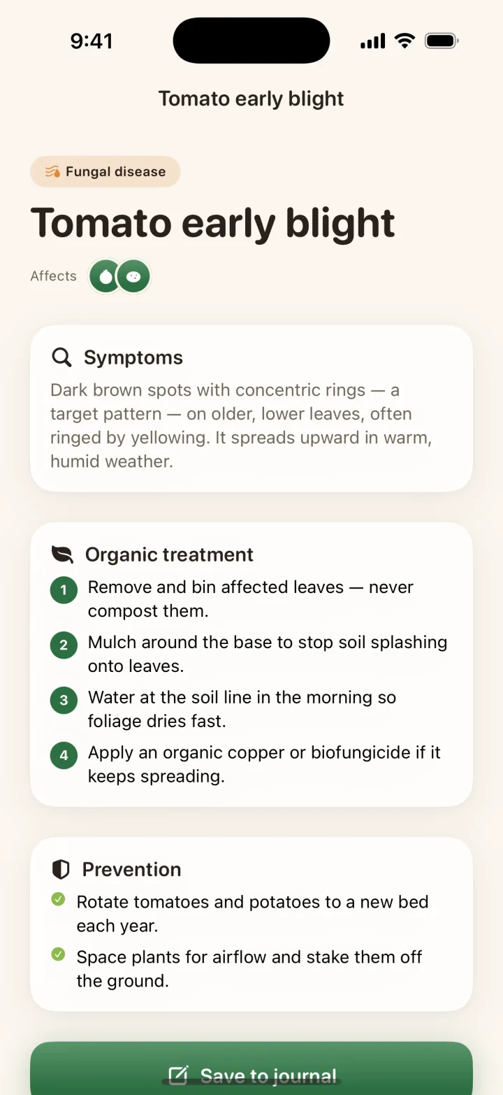 Dibble diagnosing tomato early blight, showing the symptoms, a numbered organic treatment plan, and prevention tips.